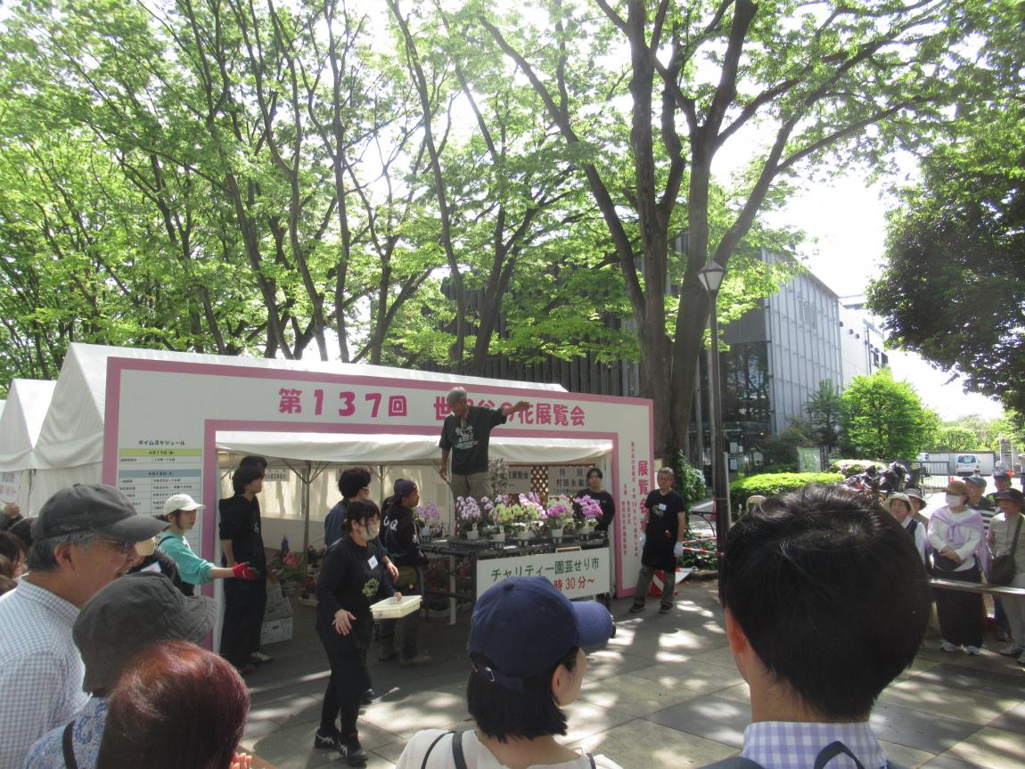 チャリティー園芸せり市の様子