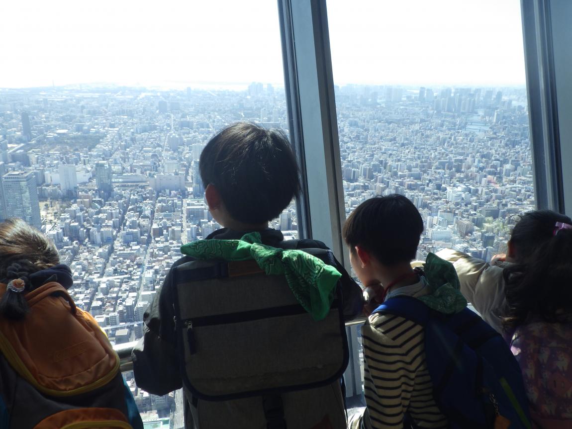 ハイキング写真