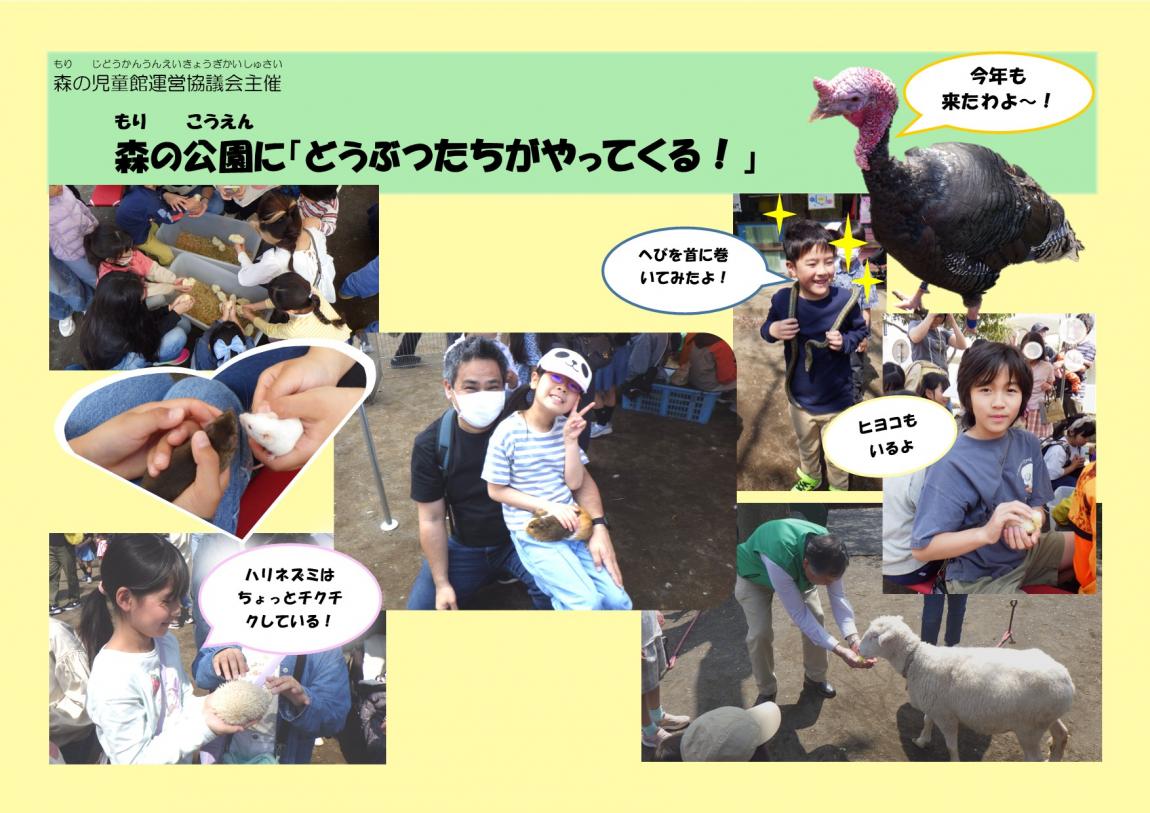 zoo
