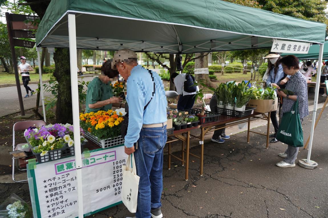 観葉植物販売