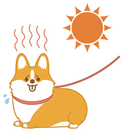 真夏の散歩で暑がっている犬のイラスト
