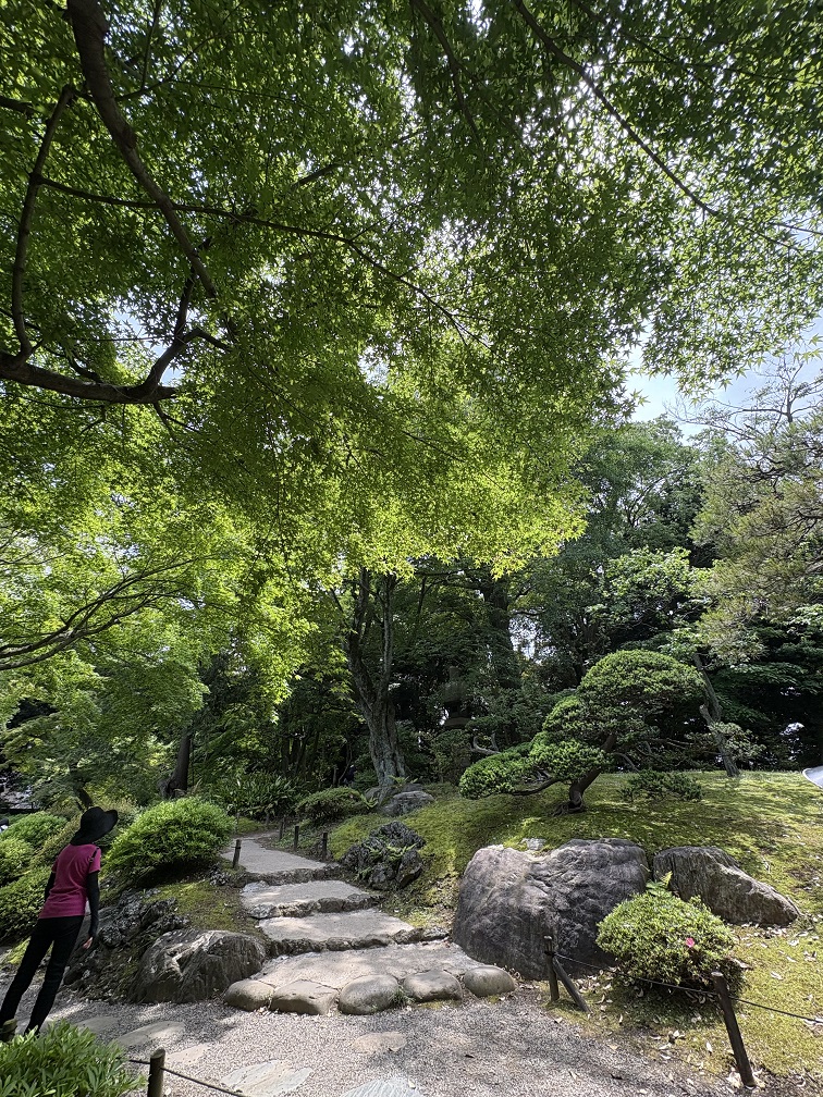 庭園内の様子