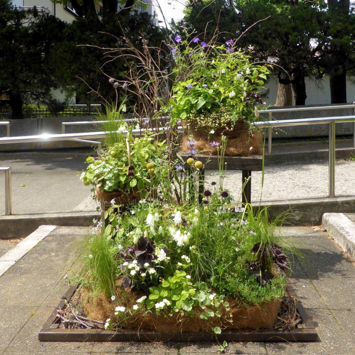 風ゆらぐ秘密の野原