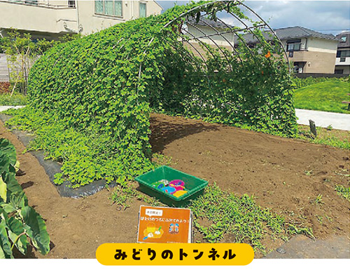 みどりのトンネルの写真