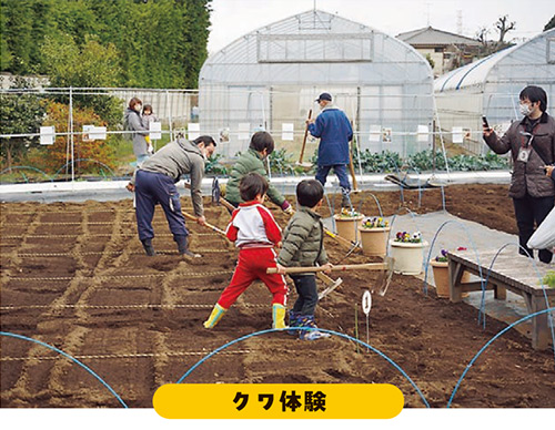 クワ体験の写真
