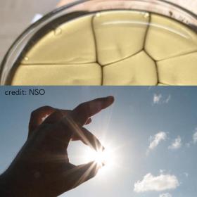 太陽の画像と実験の様子