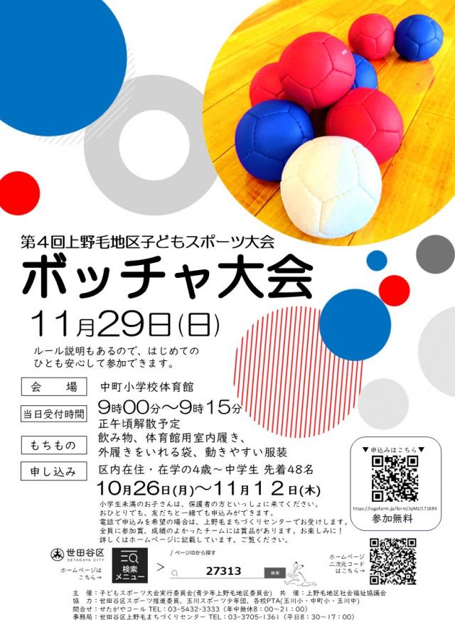 ボッチャチラシ表