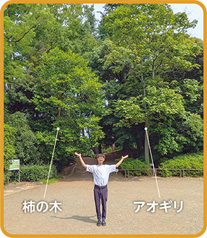 被爆二世の木の写真