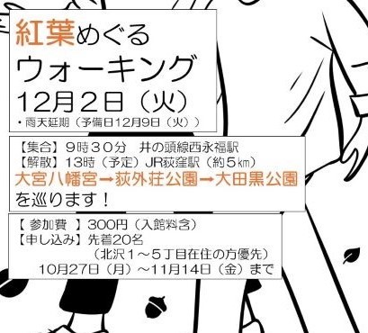 チラシ（サムネイル用）