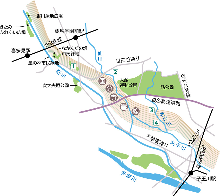 国分寺崖線の地図