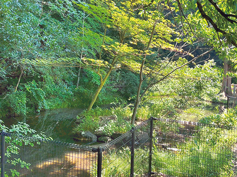 大蔵三丁目公園の写真