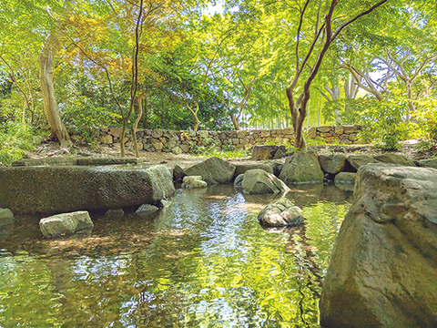 岡本公園の写真