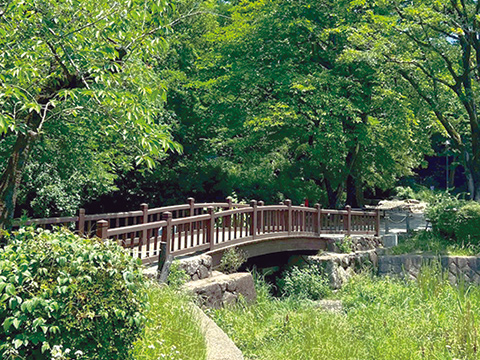 岡本公園の写真