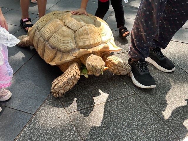 kame