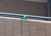 ベランダ掲示