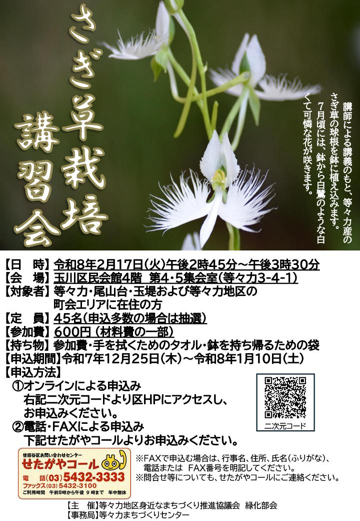 さぎ草栽培講習会チラシ
