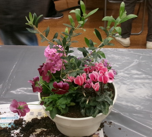 ピンクや紫の花々の寄せ植え作品