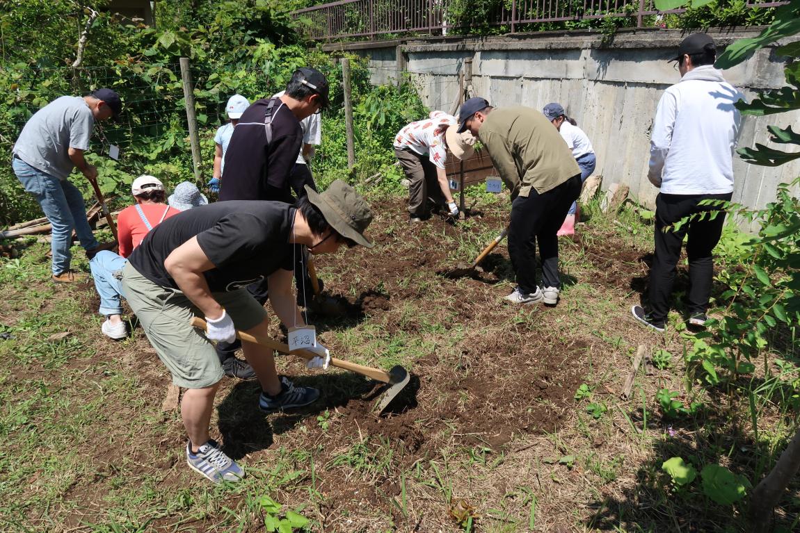 コミュニティ農園 4