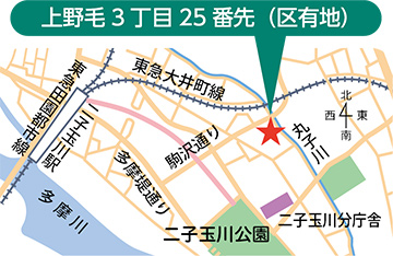 上野毛3丁目25番先(区有地)の地図