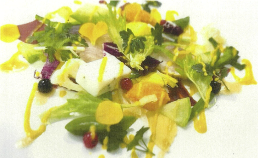 せたがやそだち使用メニュー