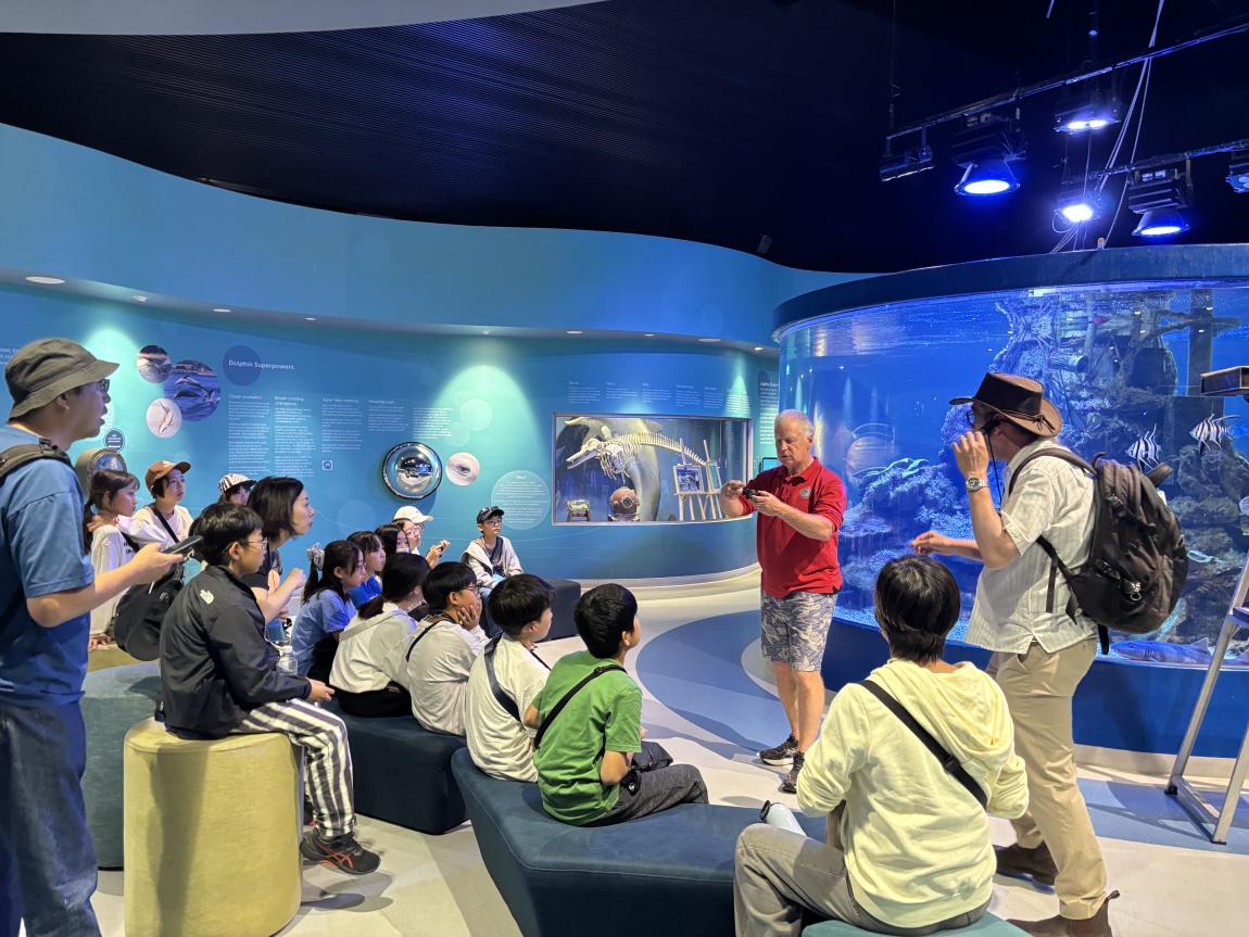 ドルフィンディスカバリー