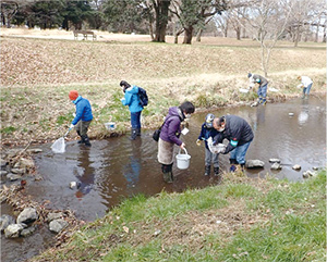 冬の野川で生きものさがしをする様子の写真