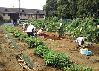 農業体験の様子の写真