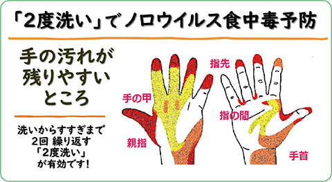 手の汚れが残りやすいところを示すイラスト