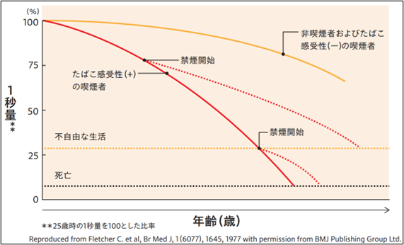 非喫煙者とCOPD患者の経年的な1秒量の低下と、禁煙後の肺機能の変化