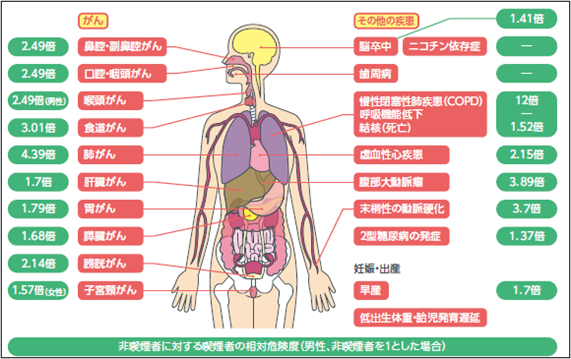 非喫煙者に対する喫煙者の相対危険度