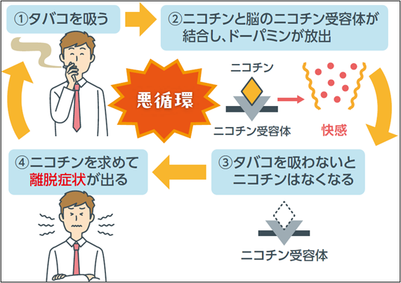 ニコチンの依存性