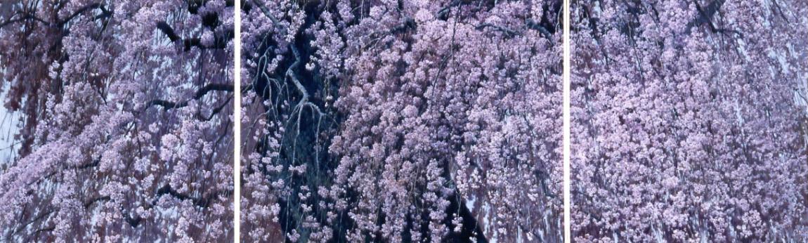 長谷川町子美術館展示