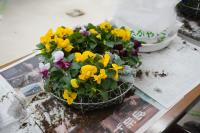 素敵なリースが完成しました