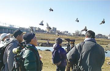 冬の渡り鳥を観察する様子の写真