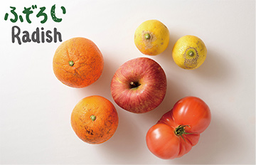 規格外野菜の写真