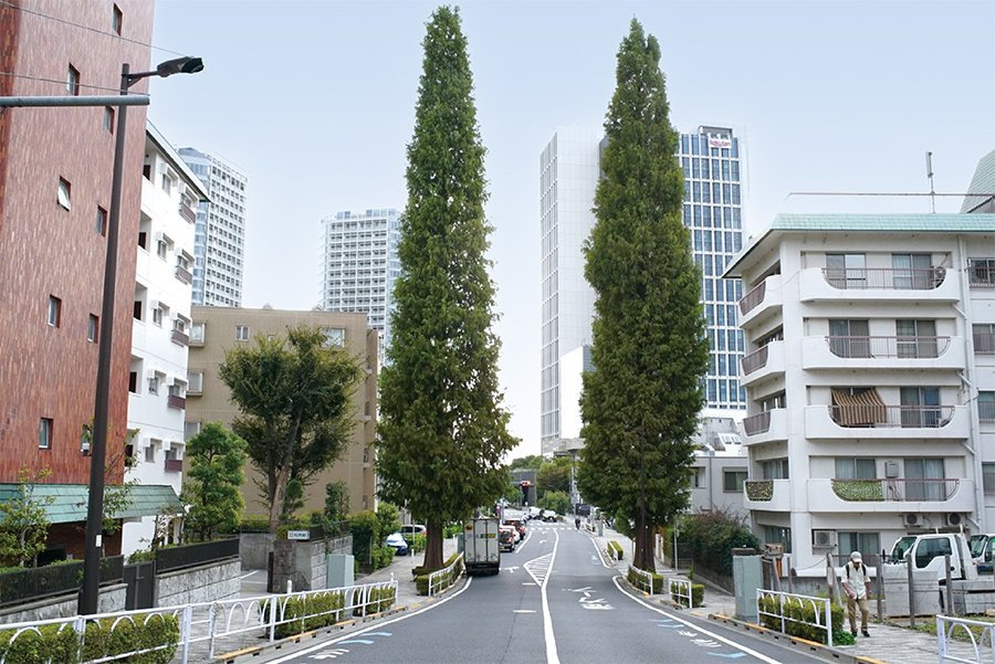 都市計画道路補助第49号線（1期）の写真