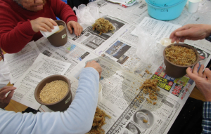 さぎ草を植え付けている様子