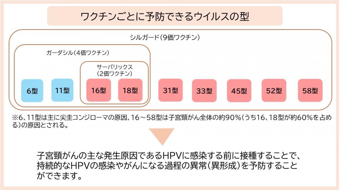 hpv2