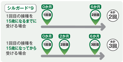 標準的な接種間隔