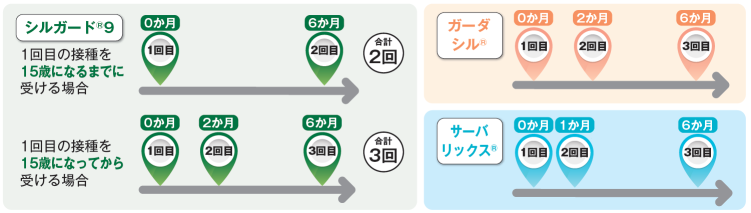HPVワクチン接種間隔の図