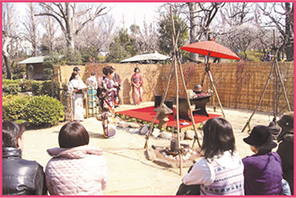 抹茶野点・茶席の様子の写真