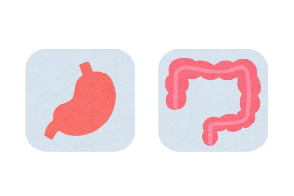 胃と大腸のイラスト