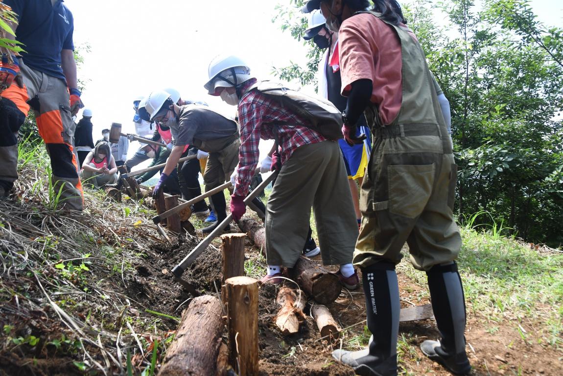 友好の小径の整備