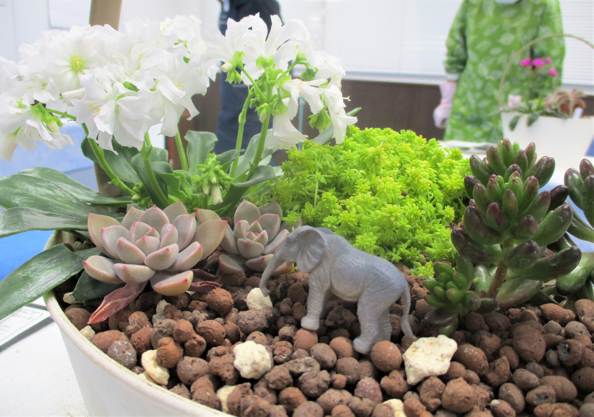 完成した多肉植物の寄せ植え。象のフィギュアが乗っている。