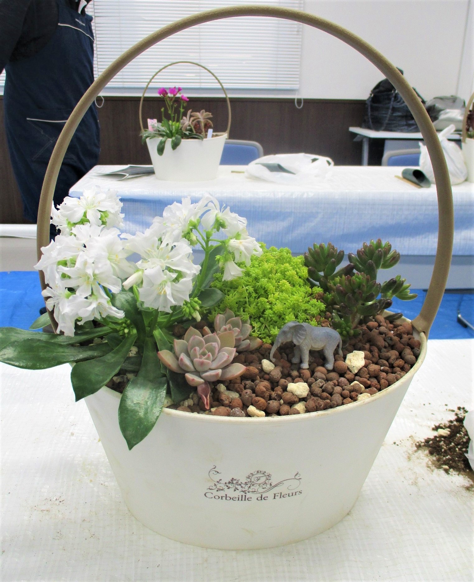 完成した多肉植物の寄せ植え。象のフィギュアが乗っている。