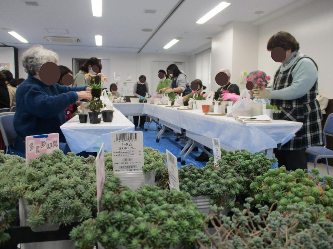 寄せ植えをしている全体の様子