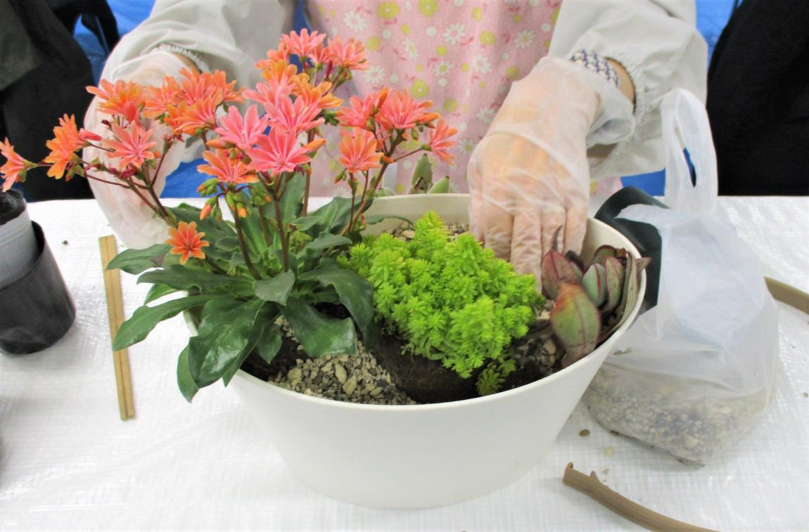 寄せ植え中の手元