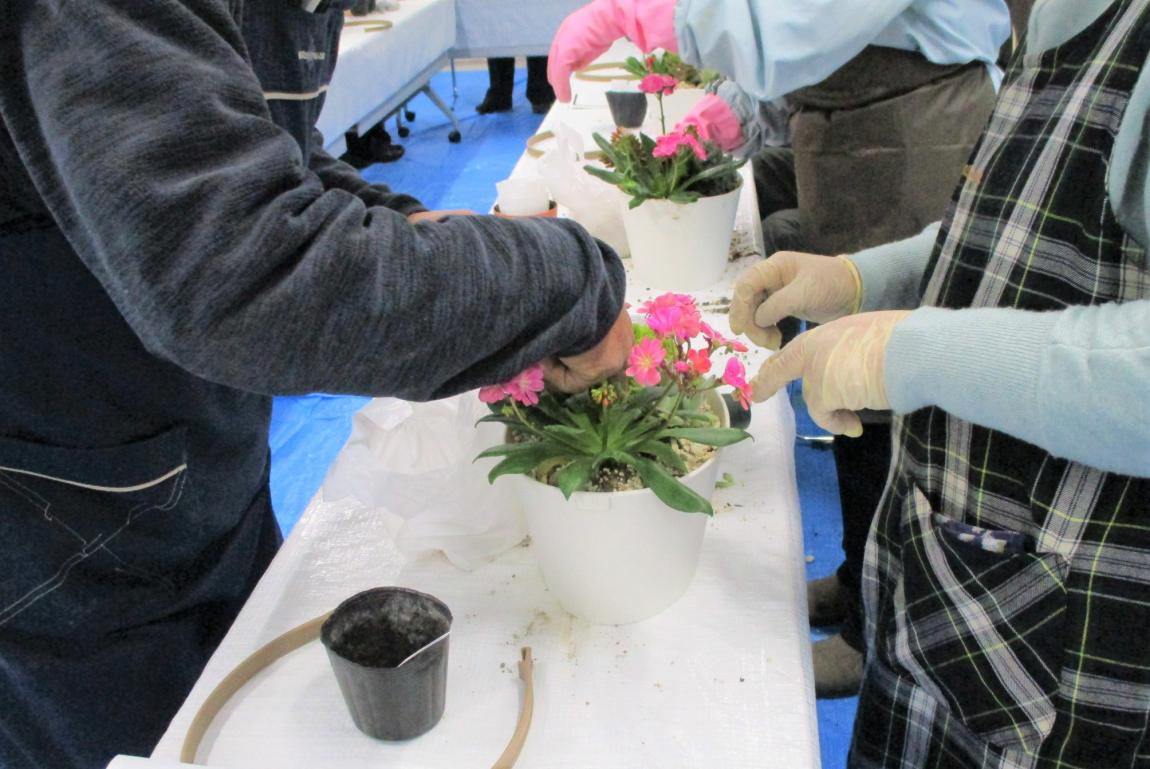 講師の井出さんと参加者が向き合い、指導してもらいながら寄せ植えをしている