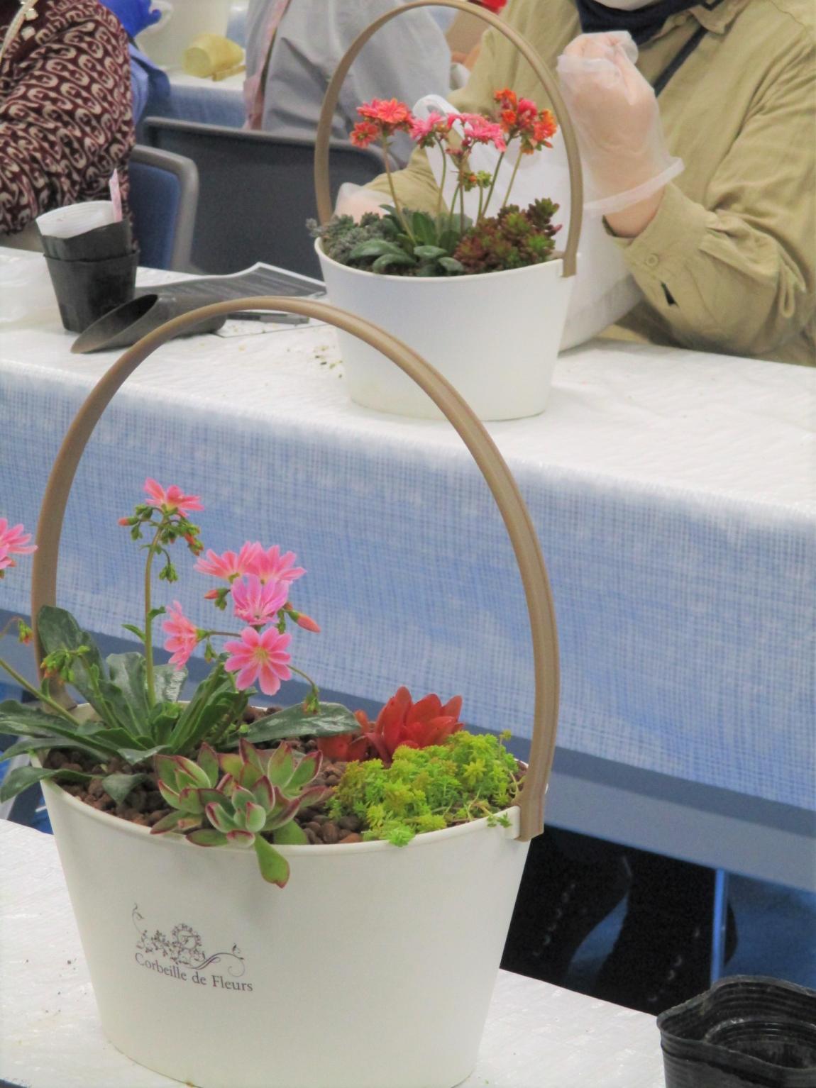 取っ手を付け、完成した寄せ植え2つ