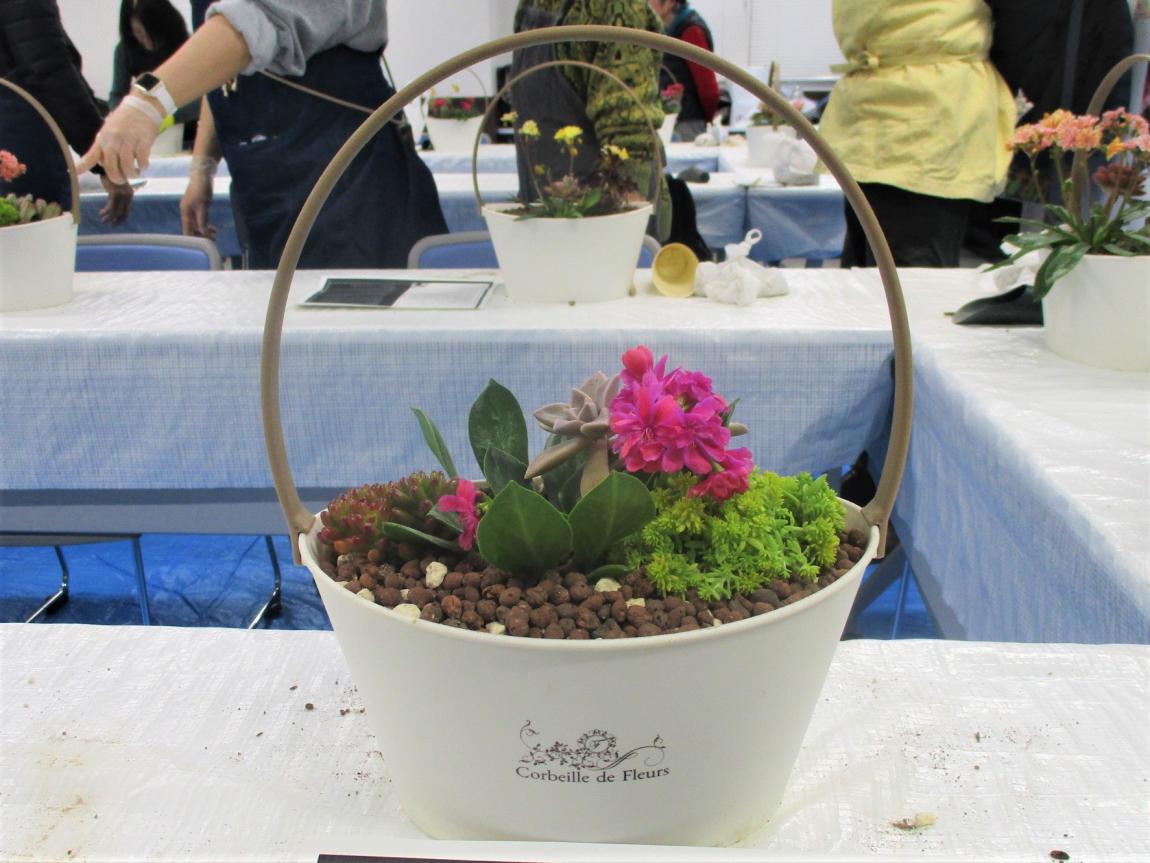 完成品3。濃いピンクのレウィシアがメイン。